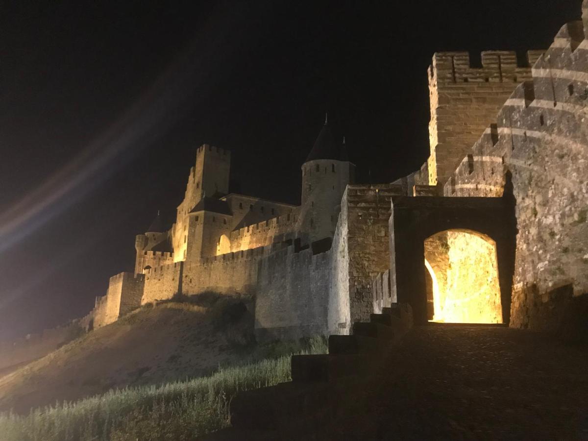 Le Clos Saint Michel Carcassonne Zewnętrze zdjęcie