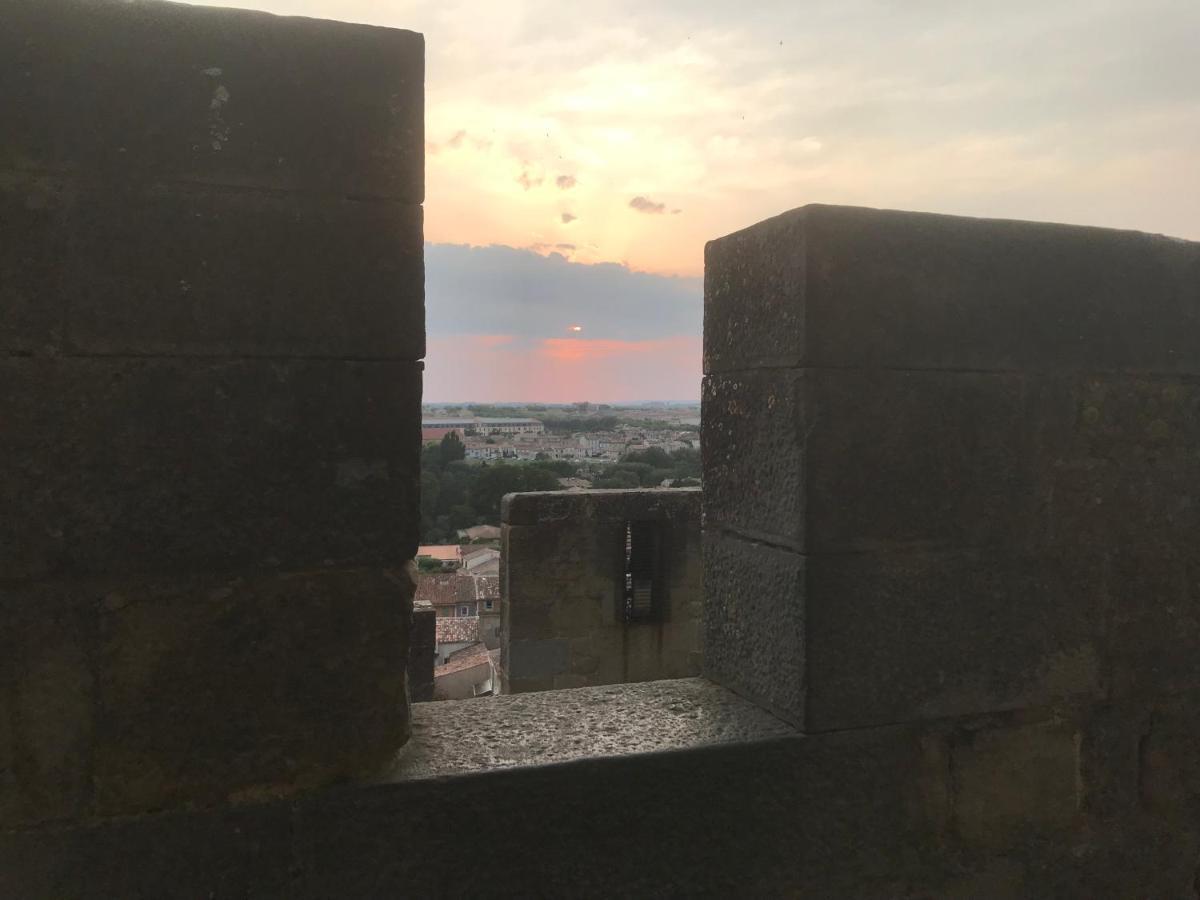 Le Clos Saint Michel Carcassonne Zewnętrze zdjęcie