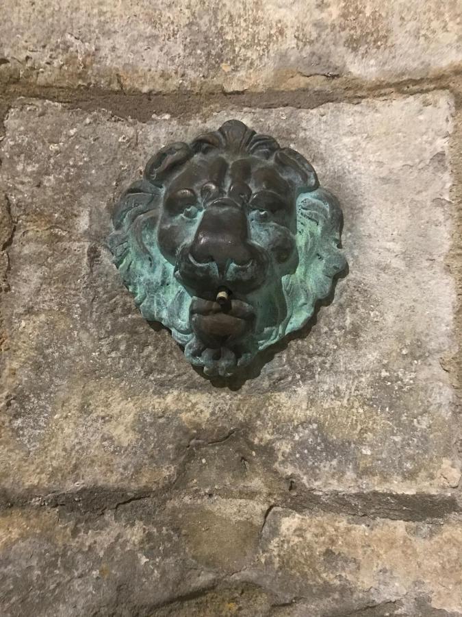 Le Clos Saint Michel Carcassonne Zewnętrze zdjęcie