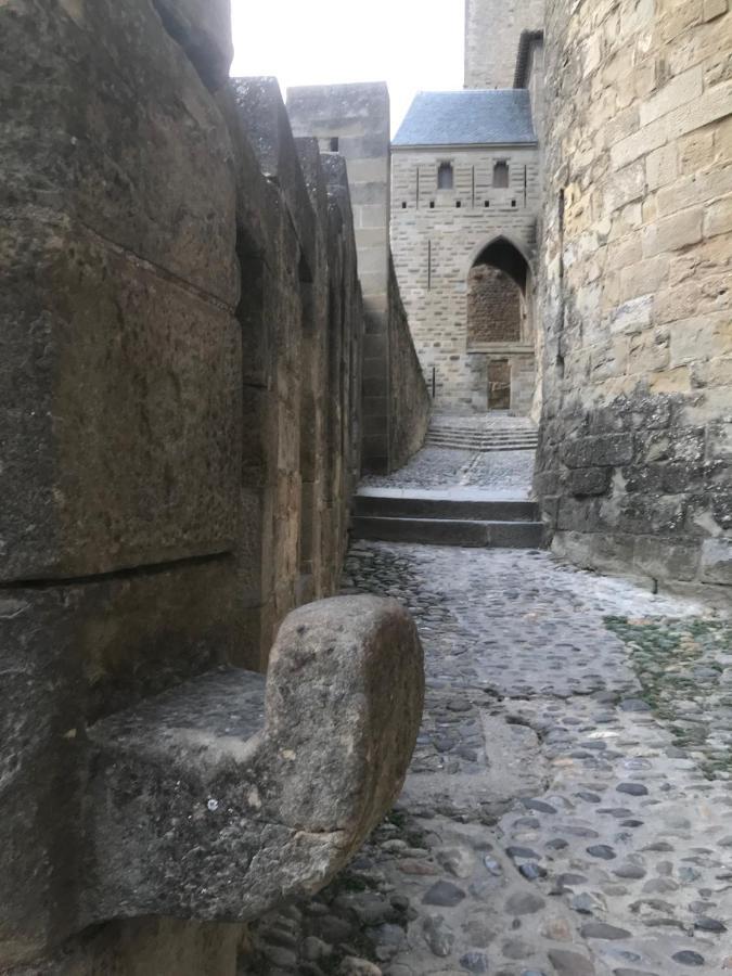 Le Clos Saint Michel Carcassonne Zewnętrze zdjęcie